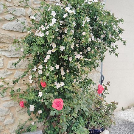 Gite L'Edenwine Doulezon Buitenkant foto