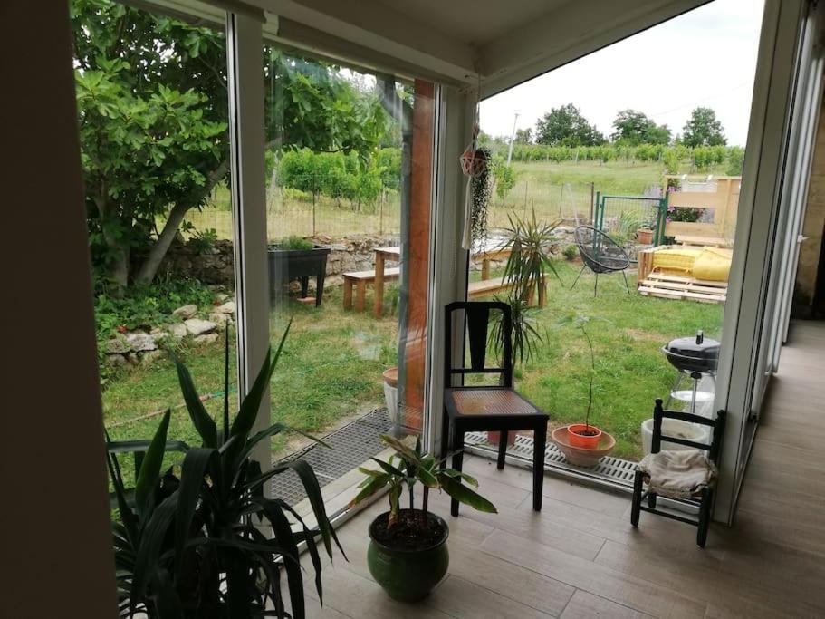 Gite L'Edenwine Doulezon Buitenkant foto