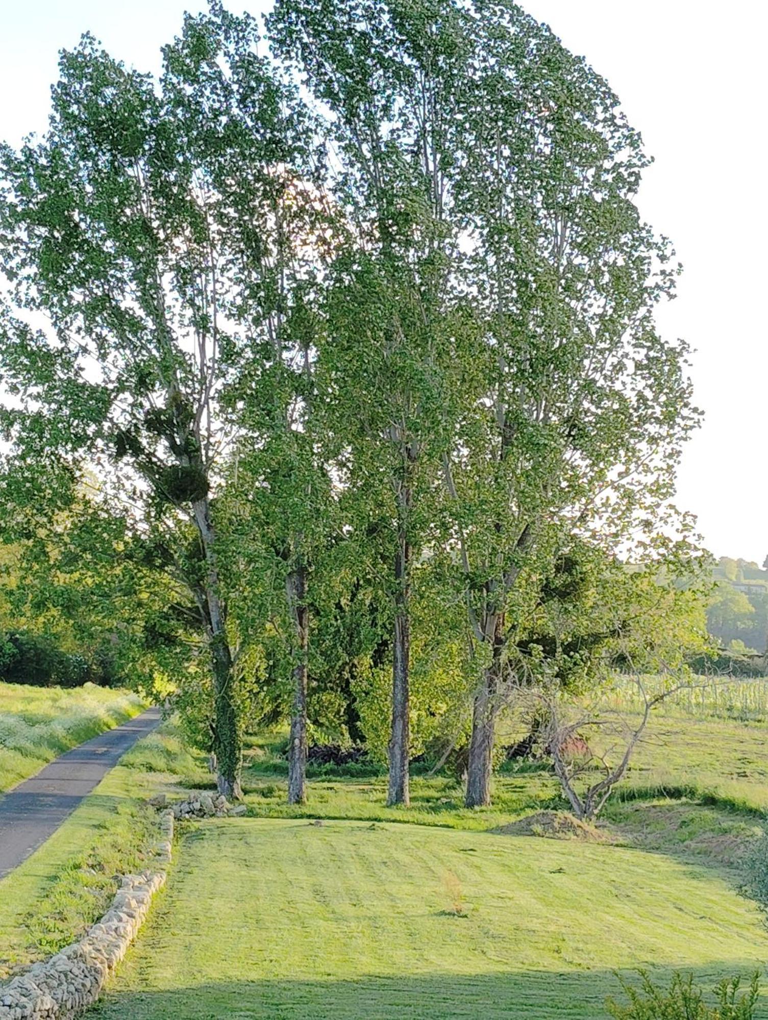 Gite L'Edenwine Doulezon Buitenkant foto
