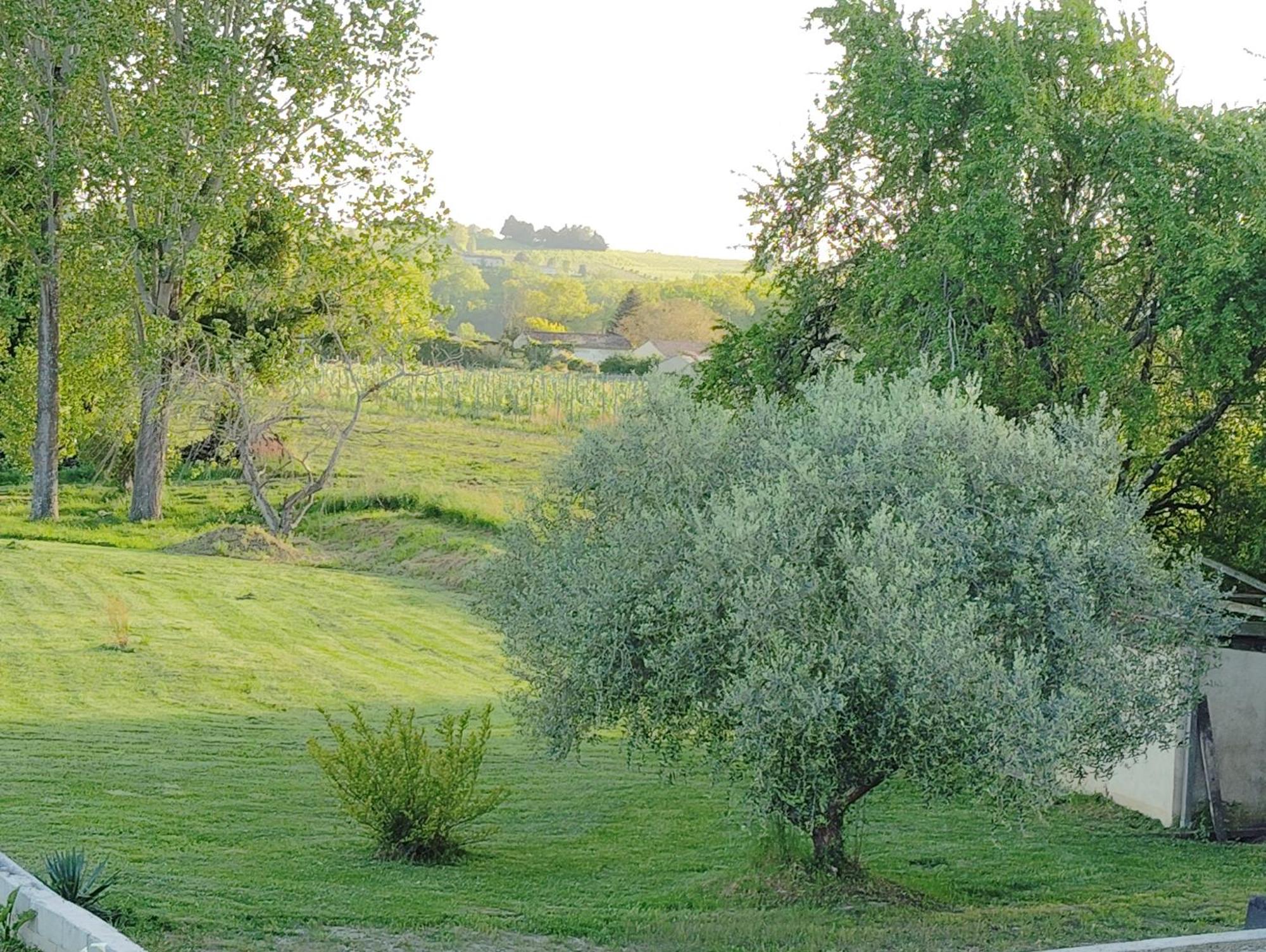 Gite L'Edenwine Doulezon Buitenkant foto