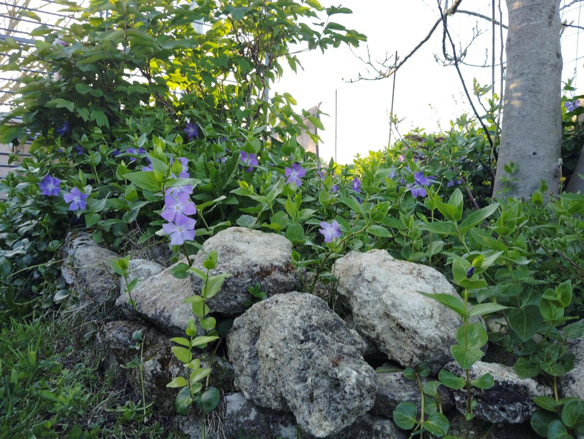 Gite L'Edenwine Doulezon Buitenkant foto